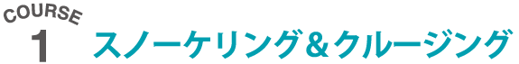 スノーケリング&クルージング